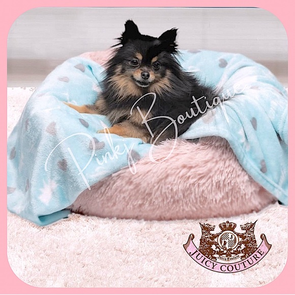💗🐾{Juicy Couture} Adorable Mint Blue Pet Plush Blanket!